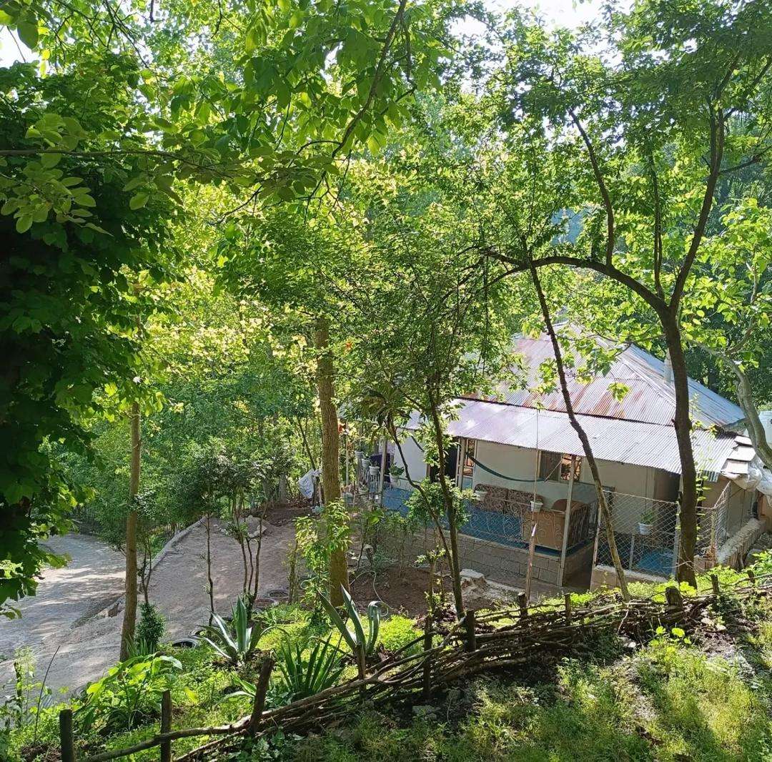 گالری تصاویر