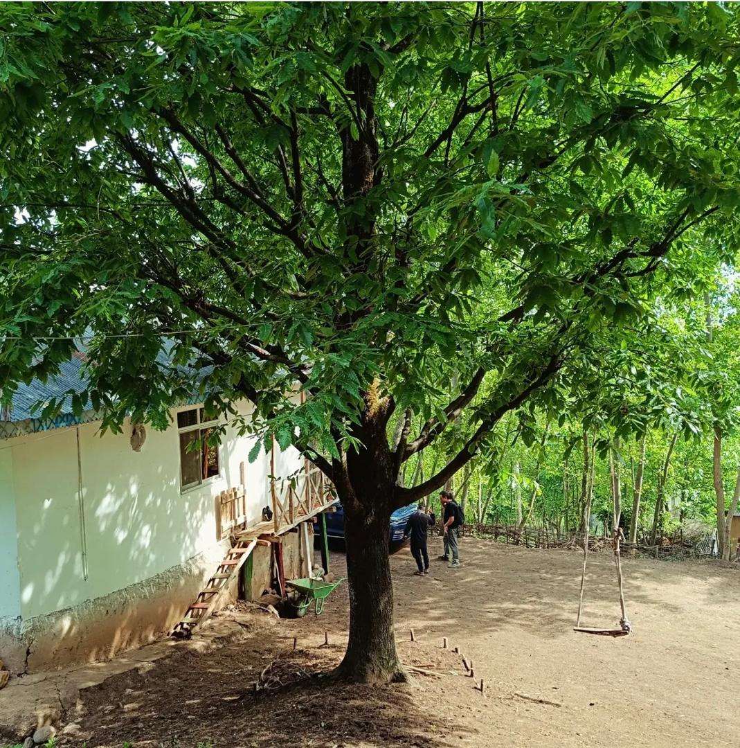 رزرو آنلاین اقامتگاه