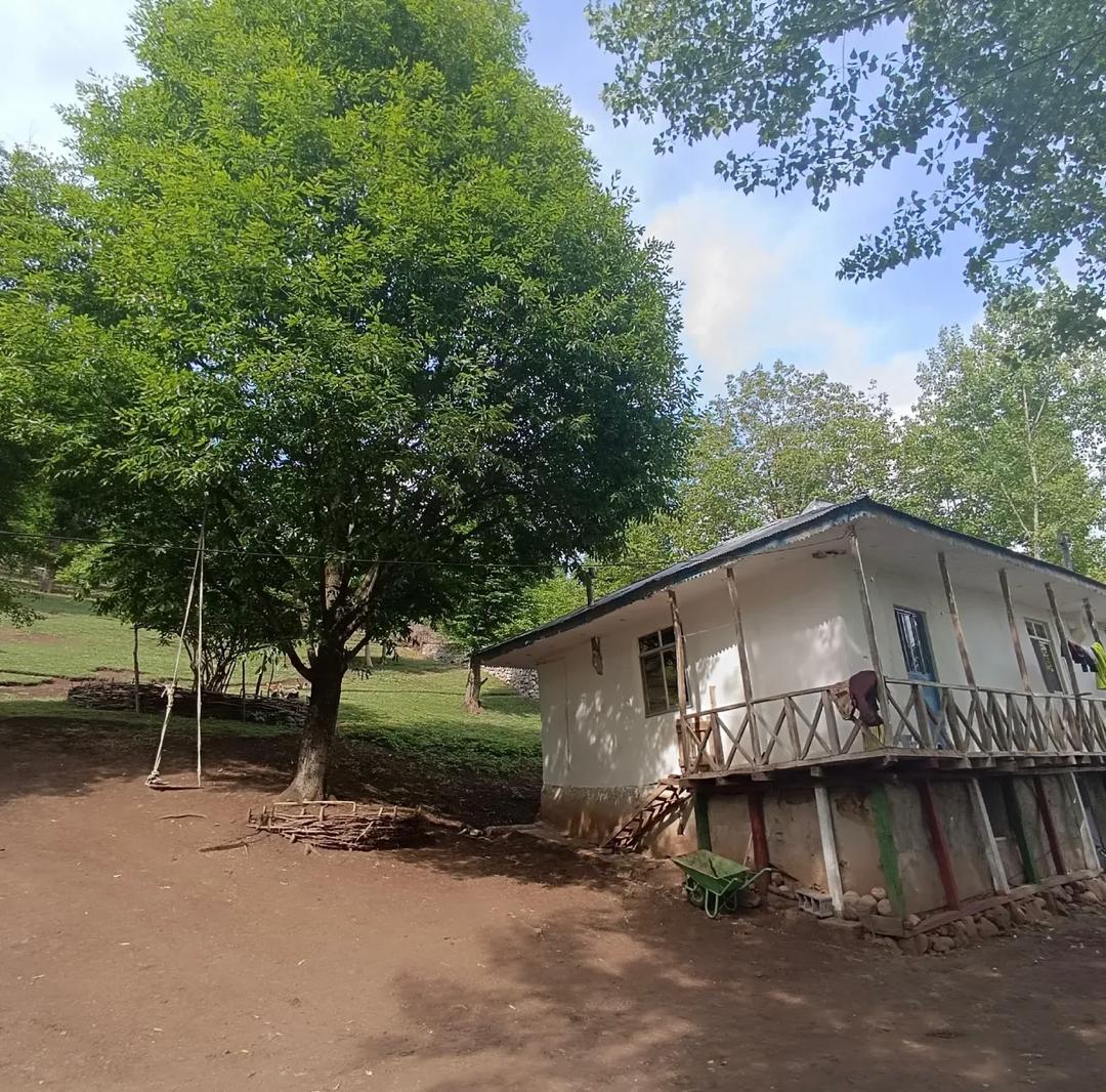 گالری تصاویر