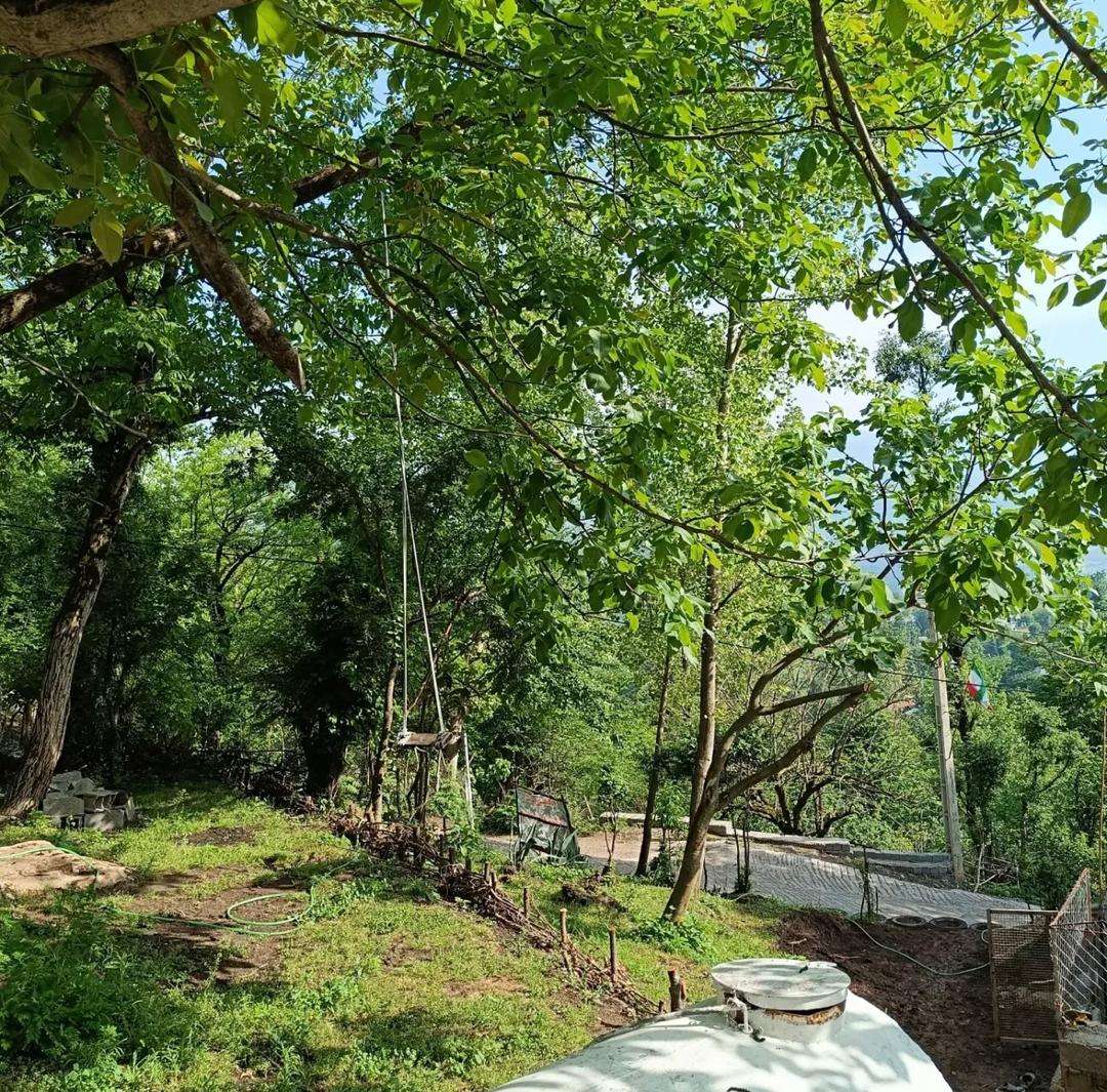 گالری تصاویر